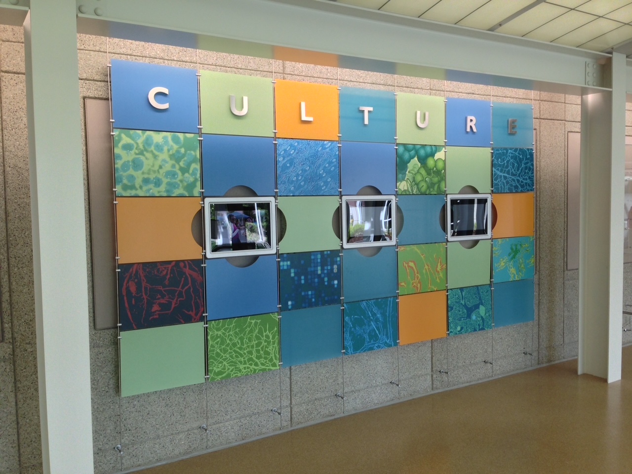Custom branded wall signage installation